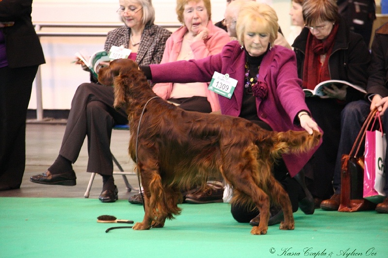 Crufts2011 427.jpg